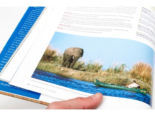 Group Of Four Coffee Table Books