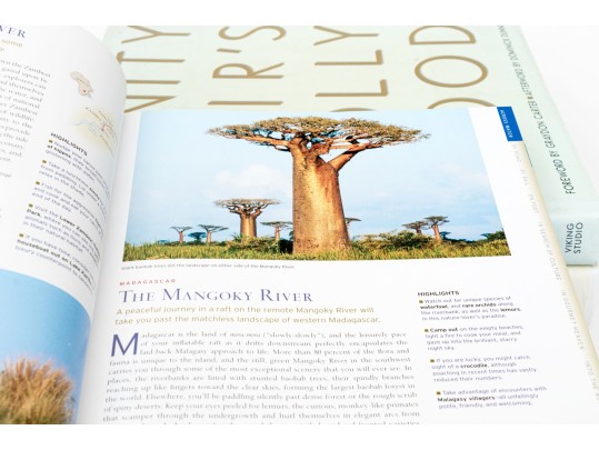 Group Of Four Coffee Table Books