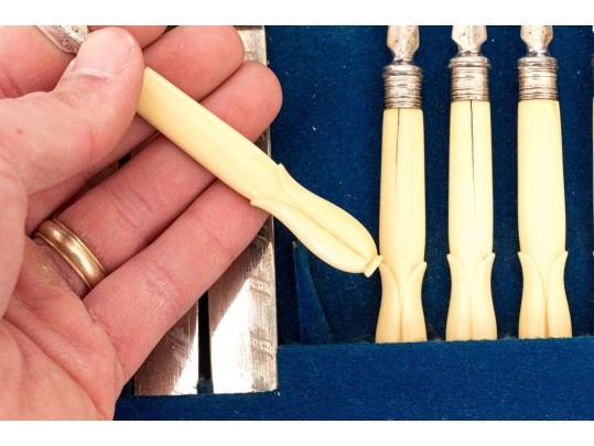 Victorian Celluloid Handled Silver Plated Fish Flatware With Case