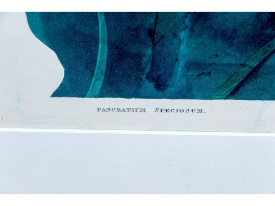 R. Havell After Priscilla Susan Bury 