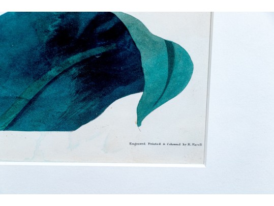 R. Havell After Priscilla Susan Bury 