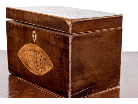 Marquetry Inlaid Tea Caddy