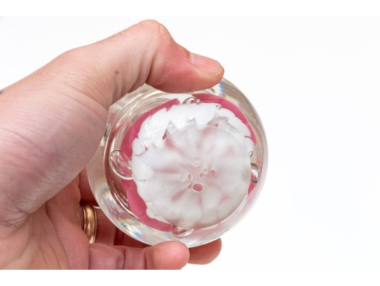 Eclectic Assorted Collection Of Table Top Wares