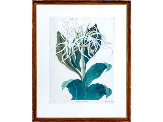 R. Havell After Priscilla Susan Bury 