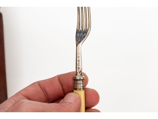 Victorian Celluloid Handled Silver Plated Fish Flatware With Case