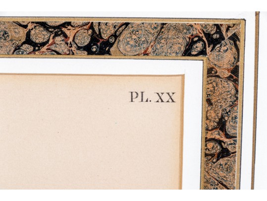 Theodore Jasper (American, 1814-1897) Hand-Colored Prints Of Hawks