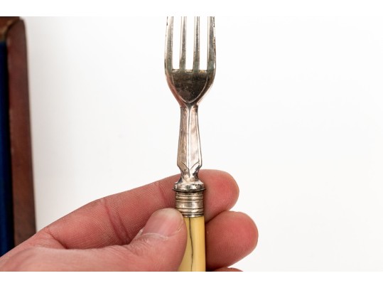 Victorian Celluloid Handled Silver Plated Fish Flatware With Case