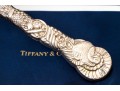 Tiffany & Co. Silver Handled Meat Carving Set