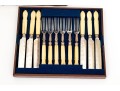 Victorian Celluloid Handled Silver Plated Fish Flatware With Case