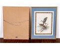Theodore Jasper (American, 1814-1897) Hand-Colored Prints Of Hawks