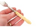 Victorian Celluloid Handled Silver Plated Fish Flatware With Case