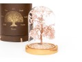 Karma And Luck Tree Of Life Figure