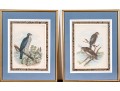 Theodore Jasper (American, 1814-1897) Hand-Colored Prints Of Hawks
