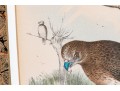 Theodore Jasper (American, 1814-1897) Hand-Colored Prints Of Hawks
