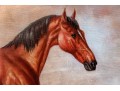 Signed Lawson Oil On Canvas, Bay Horse In Landscape