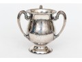 Towle Sterling Silver Triple Handle Trophy Cup, 12.15 Ozt.