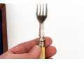 Victorian Celluloid Handled Silver Plated Fish Flatware With Case
