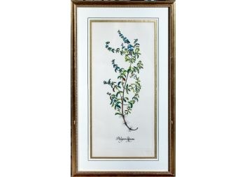 Black Rock Galleries