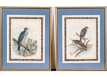 Black Rock Galleries