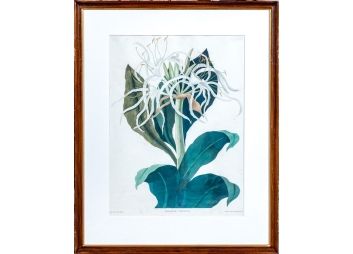 Black Rock Galleries