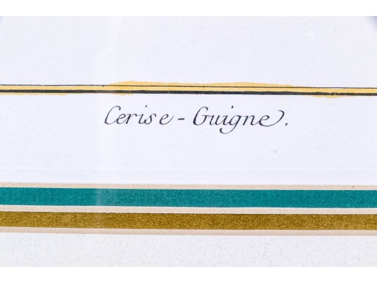 Set Of Three Hand-colored Botanical Prints