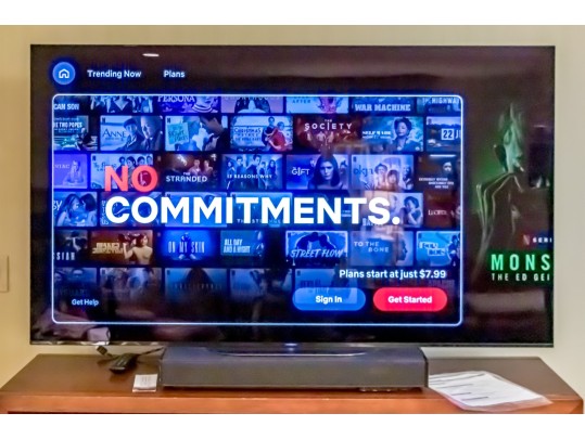 Sony Bravia 65 Flatscreen Tv