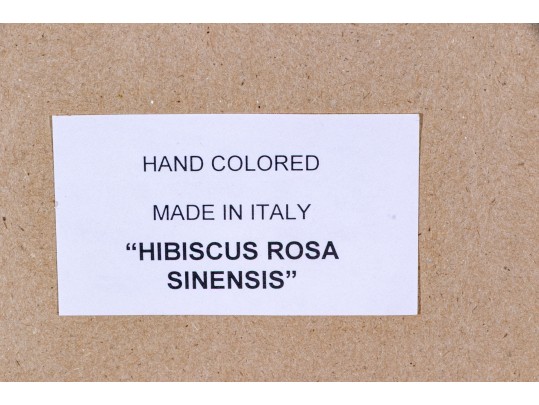 Set Of Three Hand-colored Botanical Prints