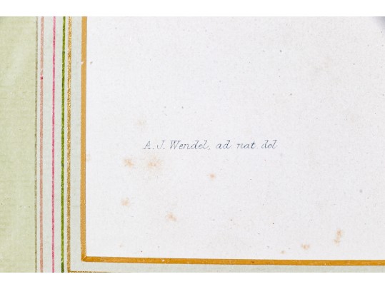 Guillaume Severeyns Lithographs After Abraham Jacobus Wendel, Botanicals