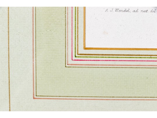 Guillaume Severeyns Lithographs After Abraham Jacobus Wendel, Botanicals