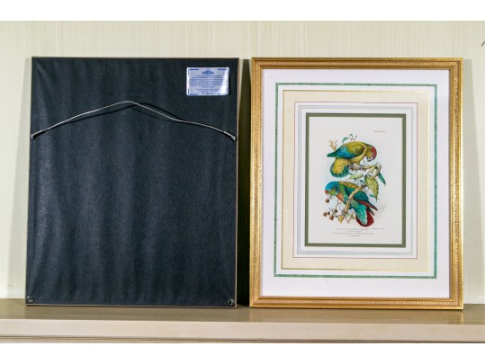 Mintern Bros. After Henrik Gronvold (Danish, 1858-1940) Prints Of Parakeets