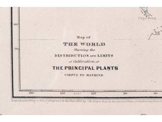 Antique 1855 Joseph Hutchins Colton Map Of The World