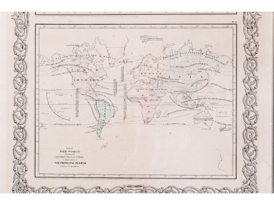Antique 1855 Joseph Hutchins Colton Map Of The World