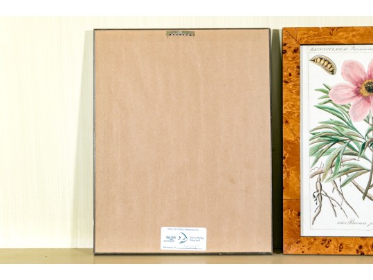 Fabulous Pair Of Decorative Botanical Prints