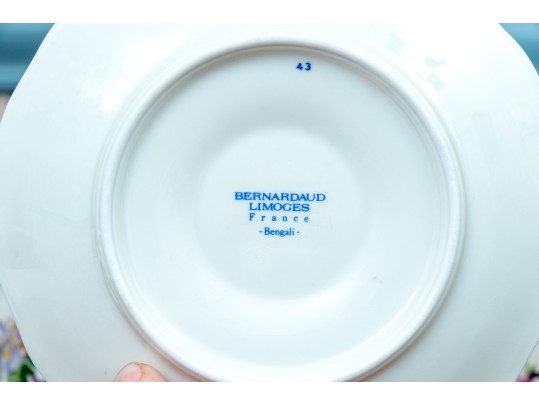 60 Piece Bernardaud Limoges 