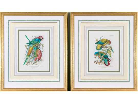 Mintern Bros. After Henrik Gronvold (Danish, 1858-1940) Prints Of Parakeets