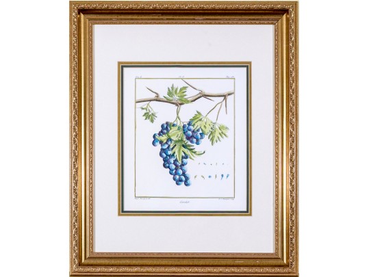 Set Of Three Hand-colored Botanical Prints