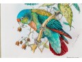 Mintern Bros. After Henrik Gronvold (Danish, 1858-1940) Prints Of Parakeets