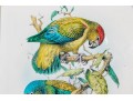 Mintern Bros. After Henrik Gronvold (Danish, 1858-1940) Prints Of Parakeets