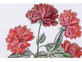 Set Of Three Hand-colored Botanical Prints