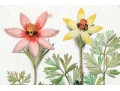 Fabulous Pair Of Decorative Botanical Prints