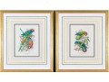 Mintern Bros. After Henrik Gronvold (Danish, 1858-1940) Prints Of Parakeets