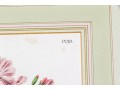 Guillaume Severeyns Lithographs After Abraham Jacobus Wendel, Botanicals