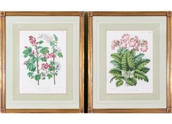 Black Rock Galleries