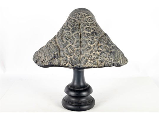 The Lord Of The Rings: The Fellowship Of The Ring – Cave Troll Bust By Sideshow Weta Collectibles (Limi