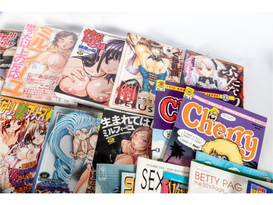 Collection Of Adult-Oriented Japanese Comics And Graphic Novels