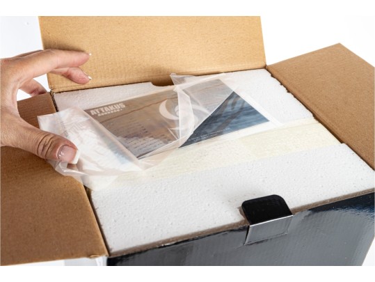 Attakus Sillage Nävis Guerrière Limited Edition Statue