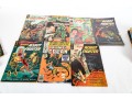 Collection Of Vintage And Underground Comic Books