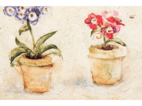 Pair Of S. Browne & Co. Botanical Giclees With Frames