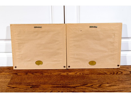 Pair Of S. Browne & Co. Botanical Giclees With Frames