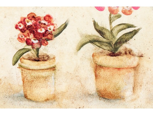 Pair Of S. Browne & Co. Botanical Giclees With Frames